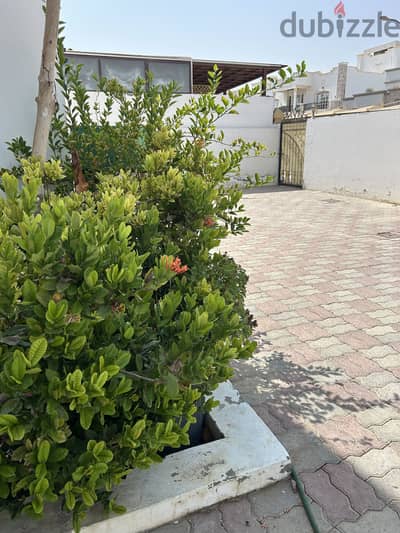 فيلا في مكان مميز الموالح مسقط