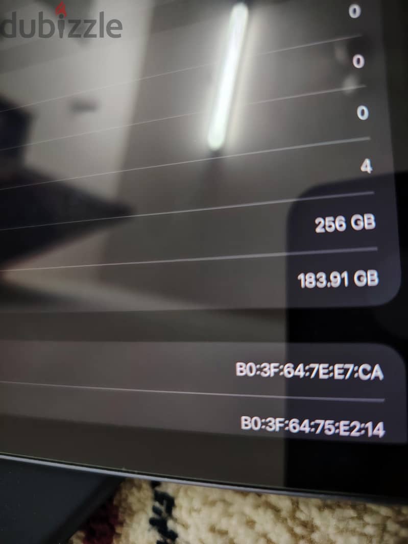 ipad mini 6 255GB 1