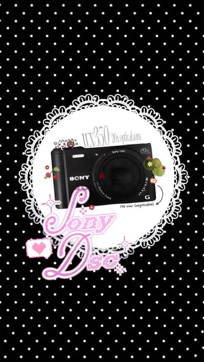 Sony DSC wx-350 20x zoom digital camera