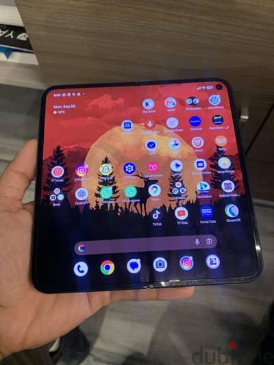 Google pixel 9 pro fold