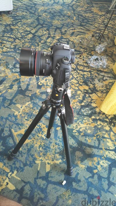 Canon EOS 5D Mark IV . Cameraعدسة كانونsL-Series. Tripod