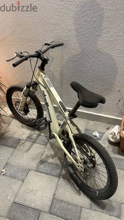 Skid fashion bycycle
