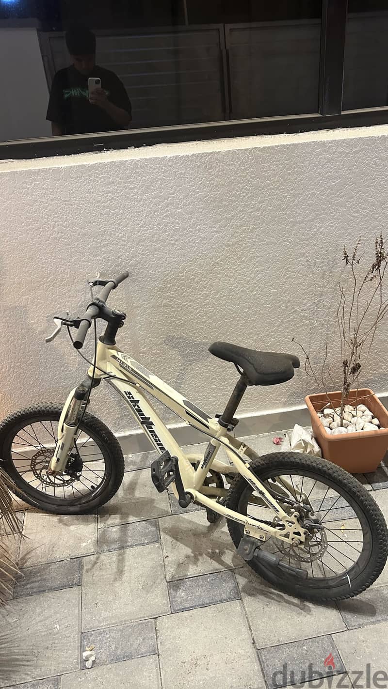 Skid fashion bycycle 1