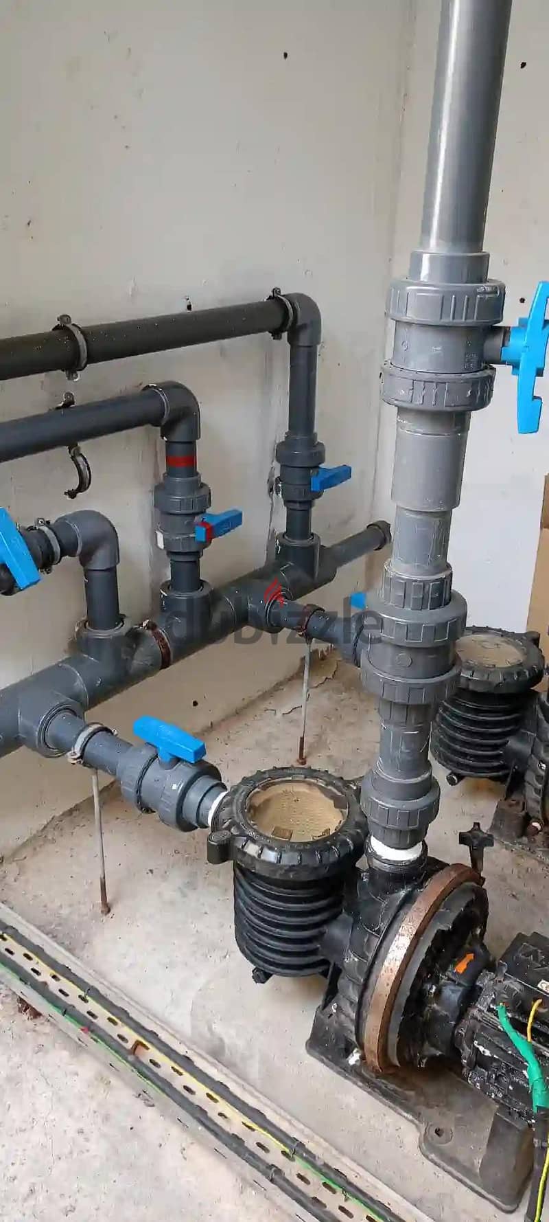 swimming pool clean service 10