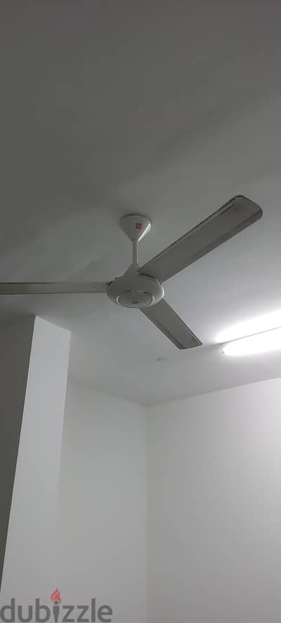 Ceiling Fan