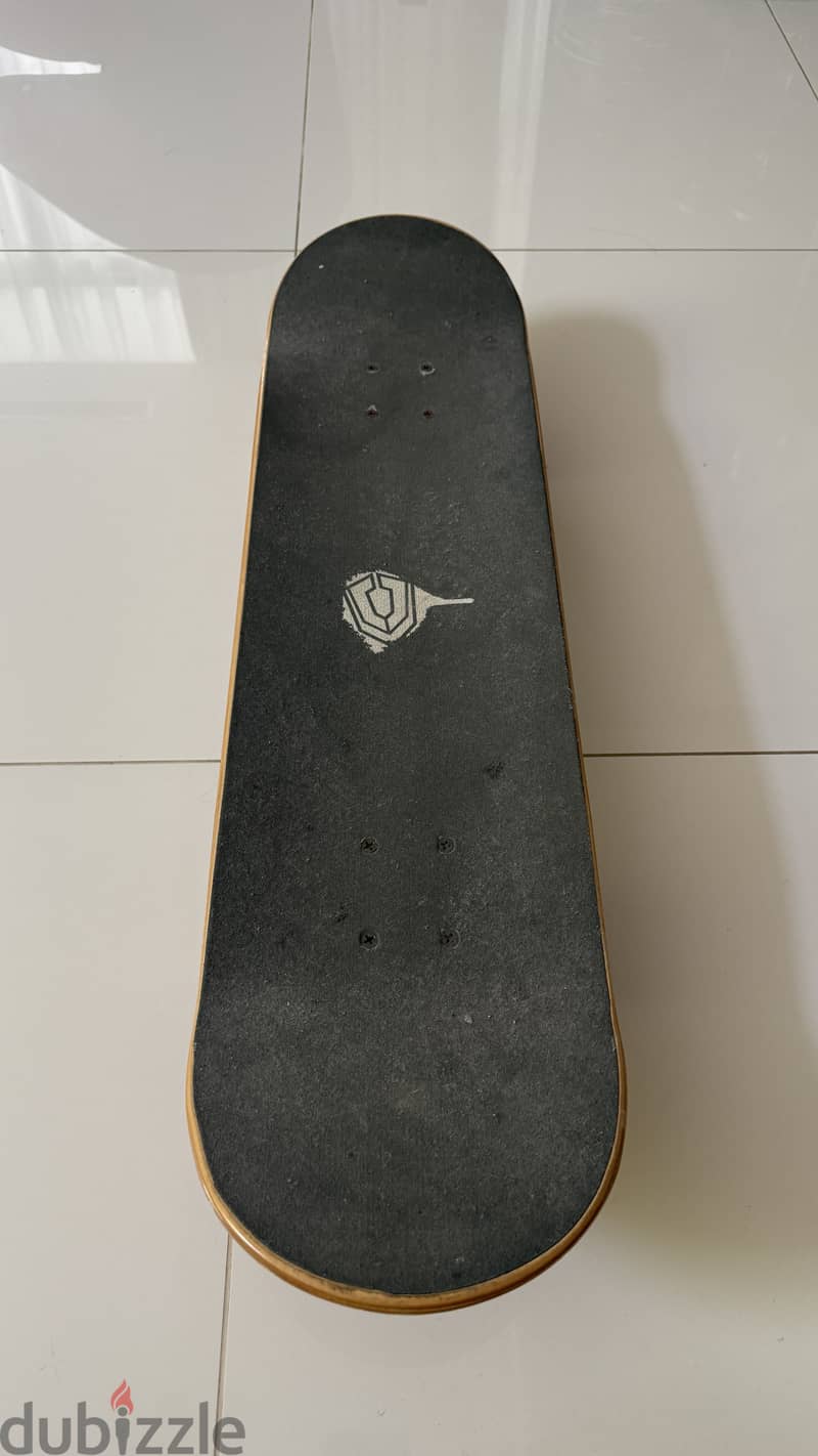 Skateboard 1