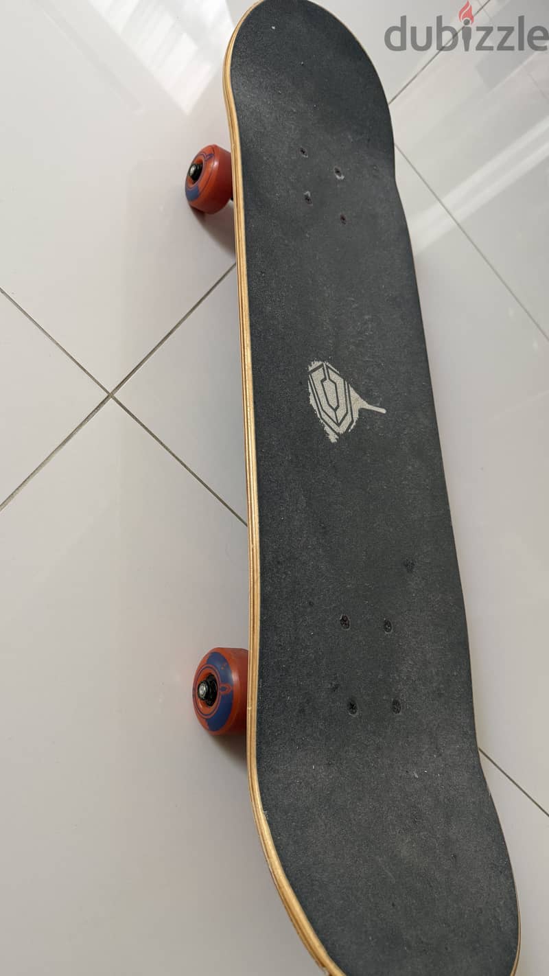 Skateboard 3