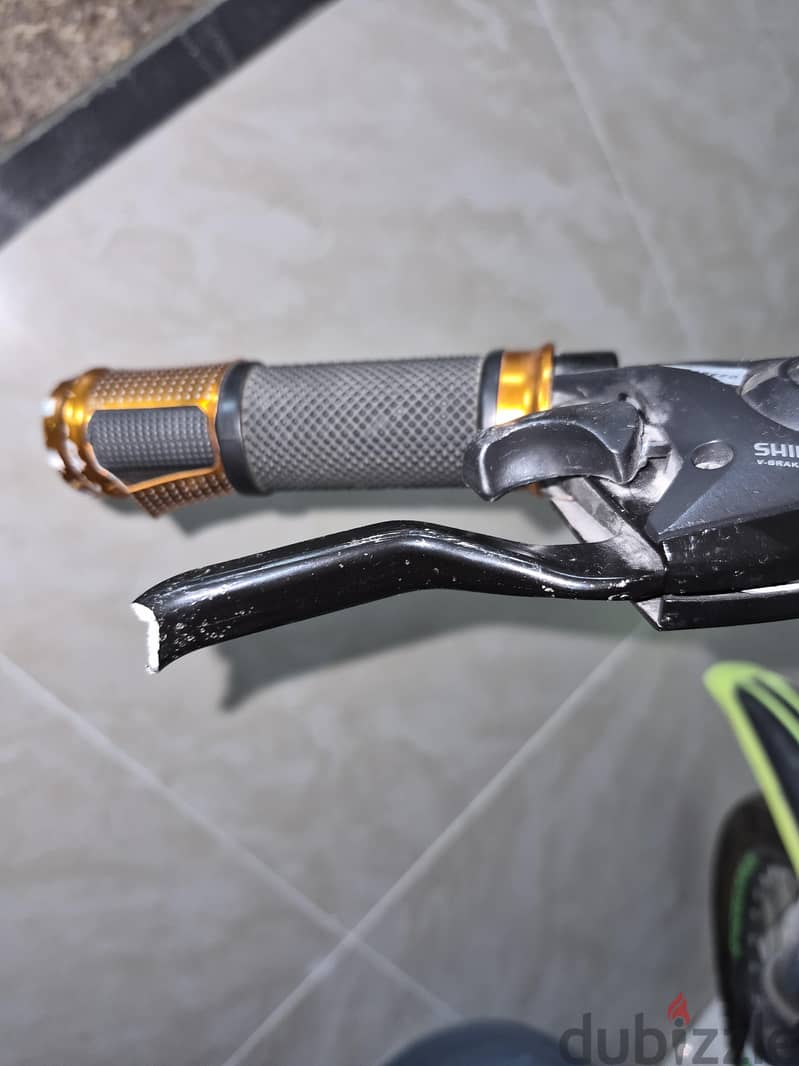 DUKE BIKE 20 inches 12 RO 2
