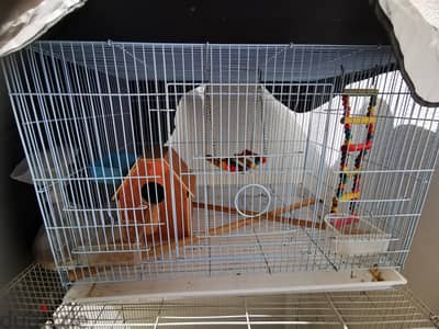 budgies cage for sale R. O 5