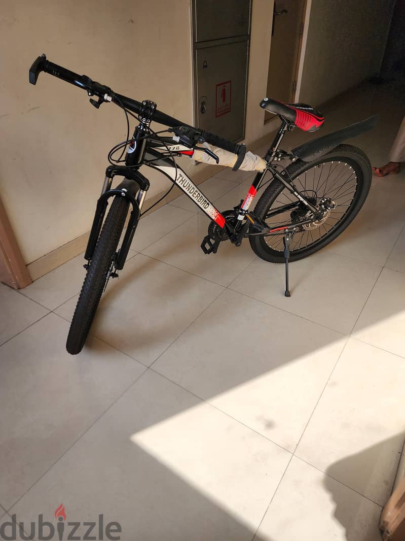 thunder bird cycle 2