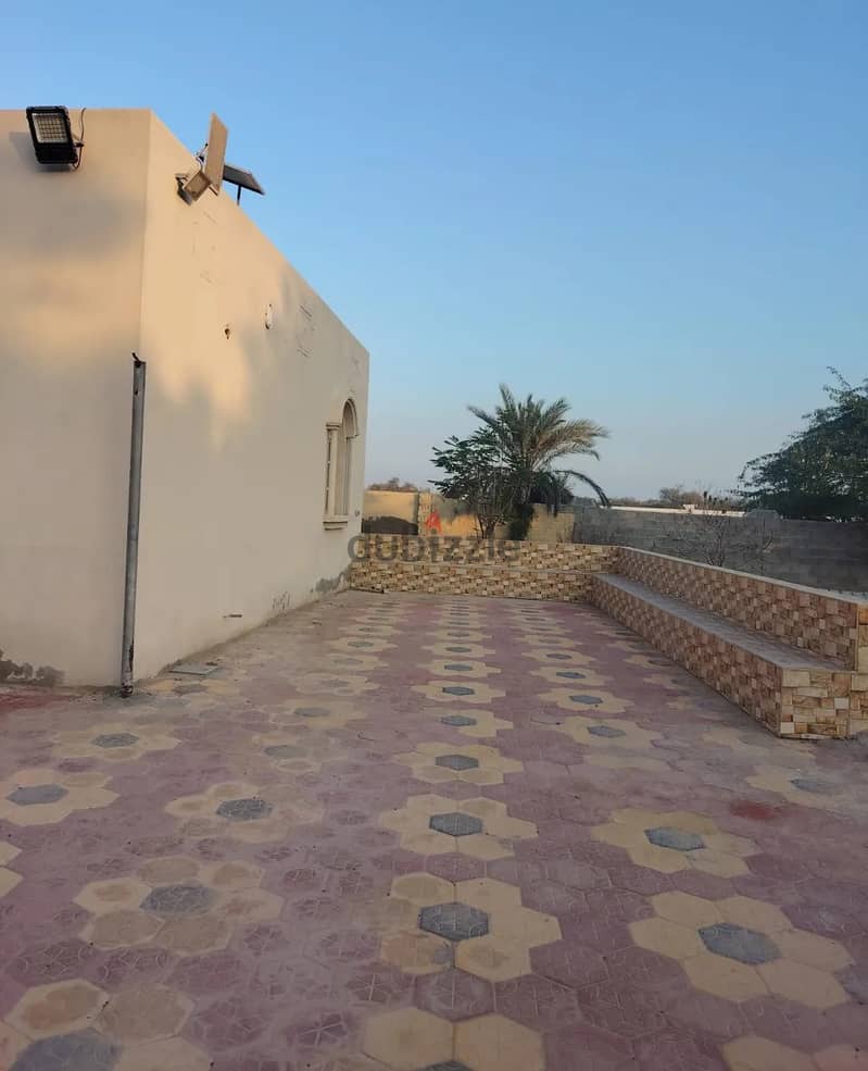 For Rent or Investment | Agricultural Land in Al Masnaah 2