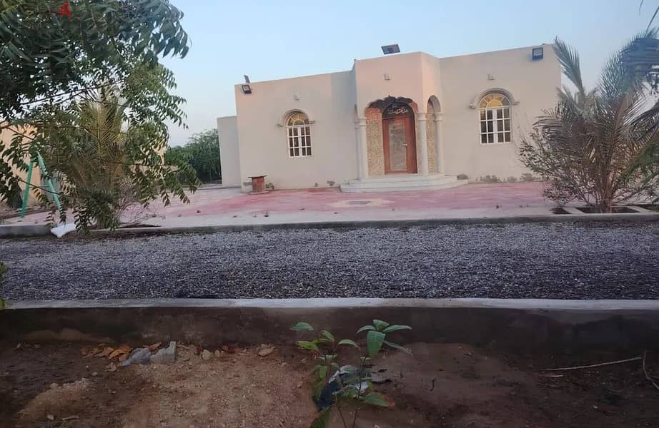 For Rent or Investment | Agricultural Land in Al Masnaah 3