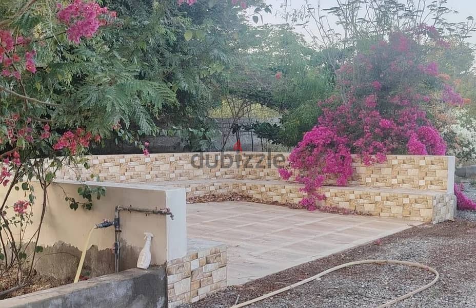For Rent or Investment | Agricultural Land in Al Masnaah 5