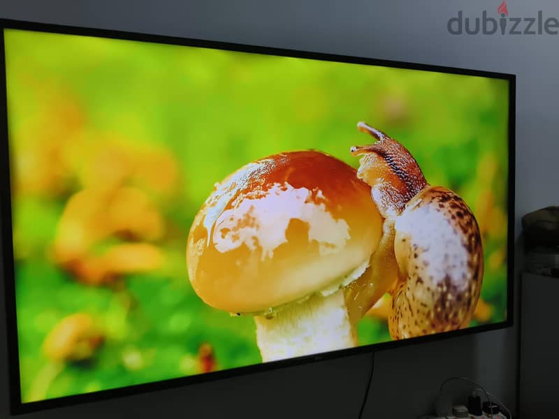LG 65 4. k smart tv with magic remote 3