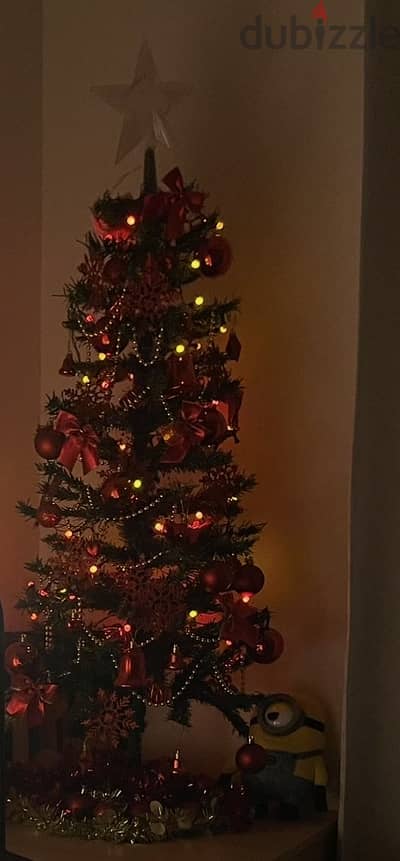 Christmas Tree for Sale – Urgent Sale