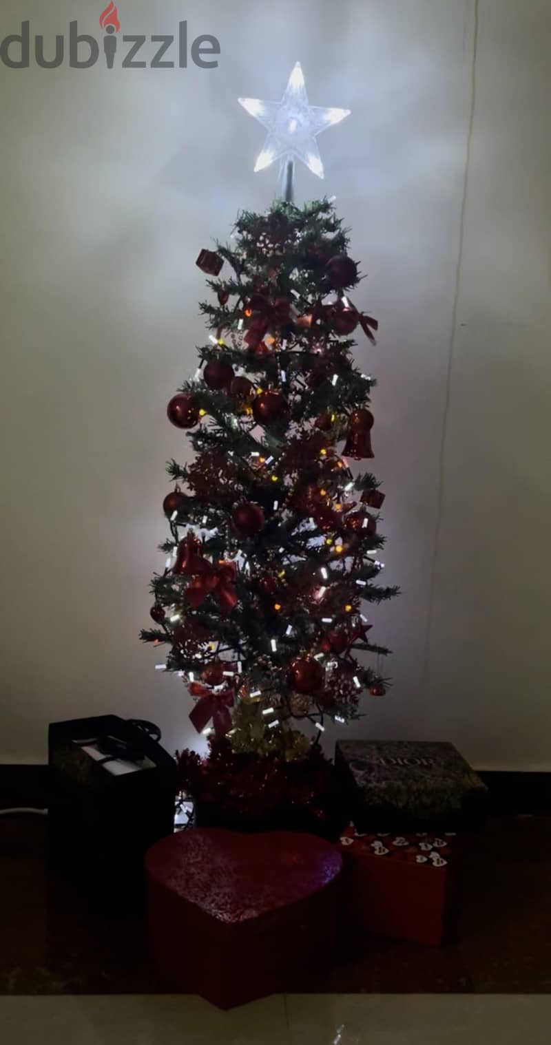 Christmas Tree for Sale – Urgent Sale 1