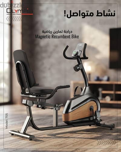 Magnetic Recumbent Bike