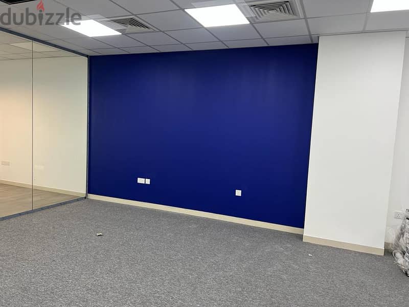 house painting,Apartment,home painter,villa painting,building painter, 6