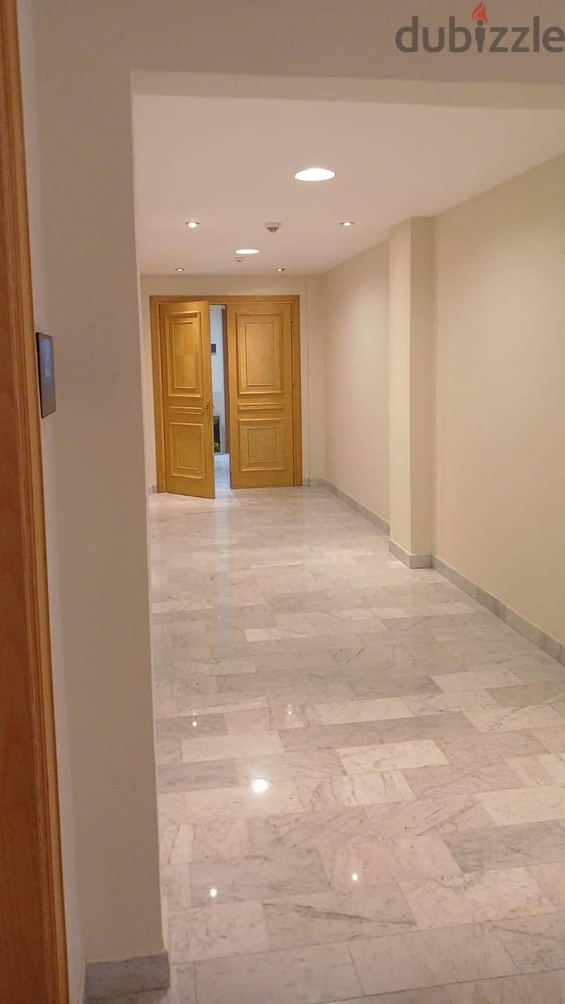Villa painting, house apartment home building painter. house cleaning. 11