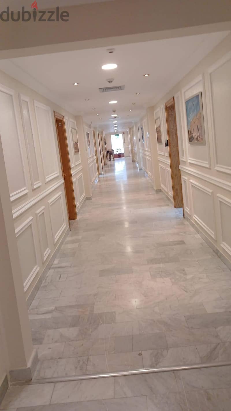 Villa painting, house apartment home building painter. house cleaning. 12