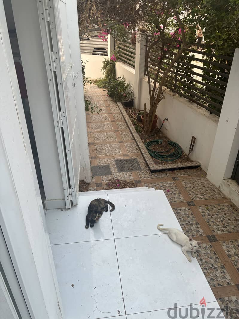 Beautiful flat in Al Seeb 14