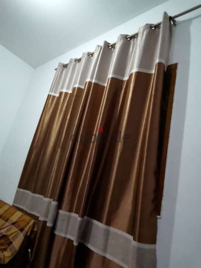 Big room rent for executive bachelor from November