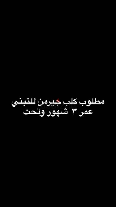 مطلوب تبني