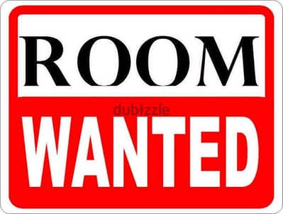 need single room from november 1st 2026