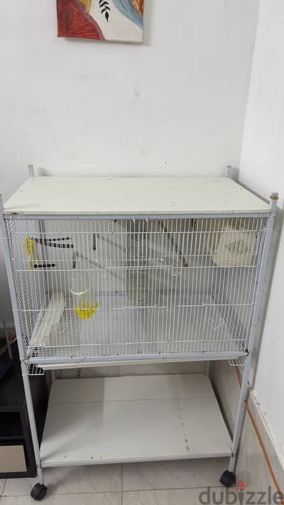 Bird cage
