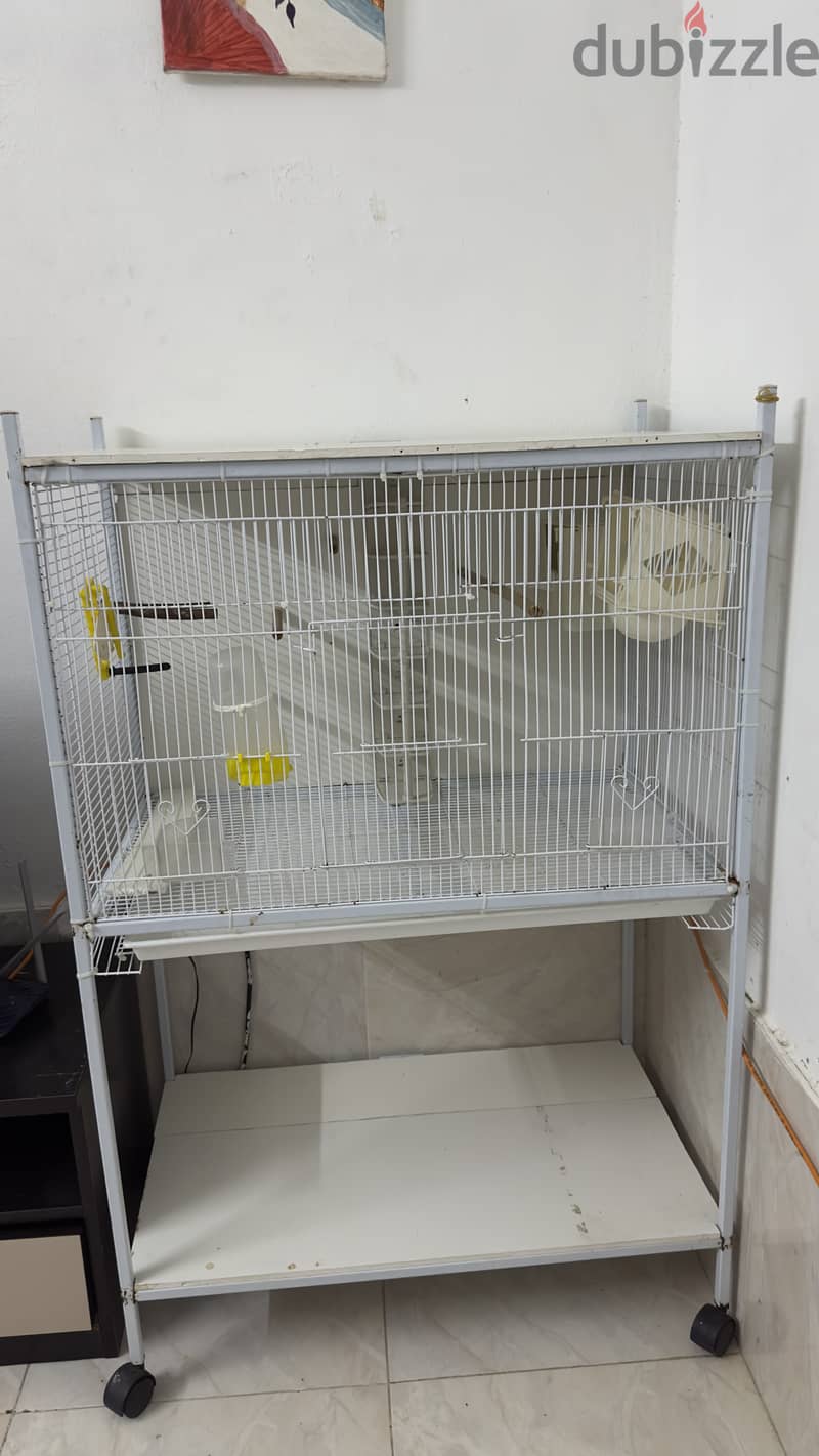 Bird cage 1