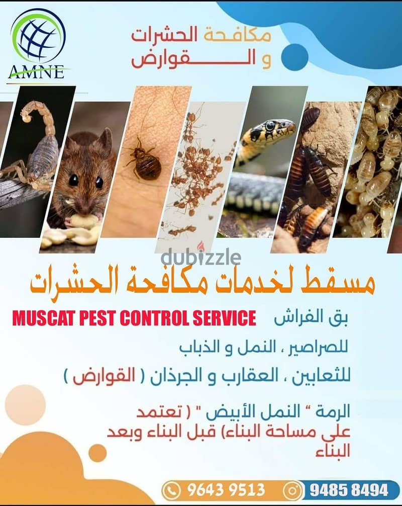 Professional & Guaranteed Pest Control Services in Muscat | Fast&Safe 4