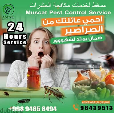 Professional & Guaranteed Pest Control Services in Muscat | Fast&Safe