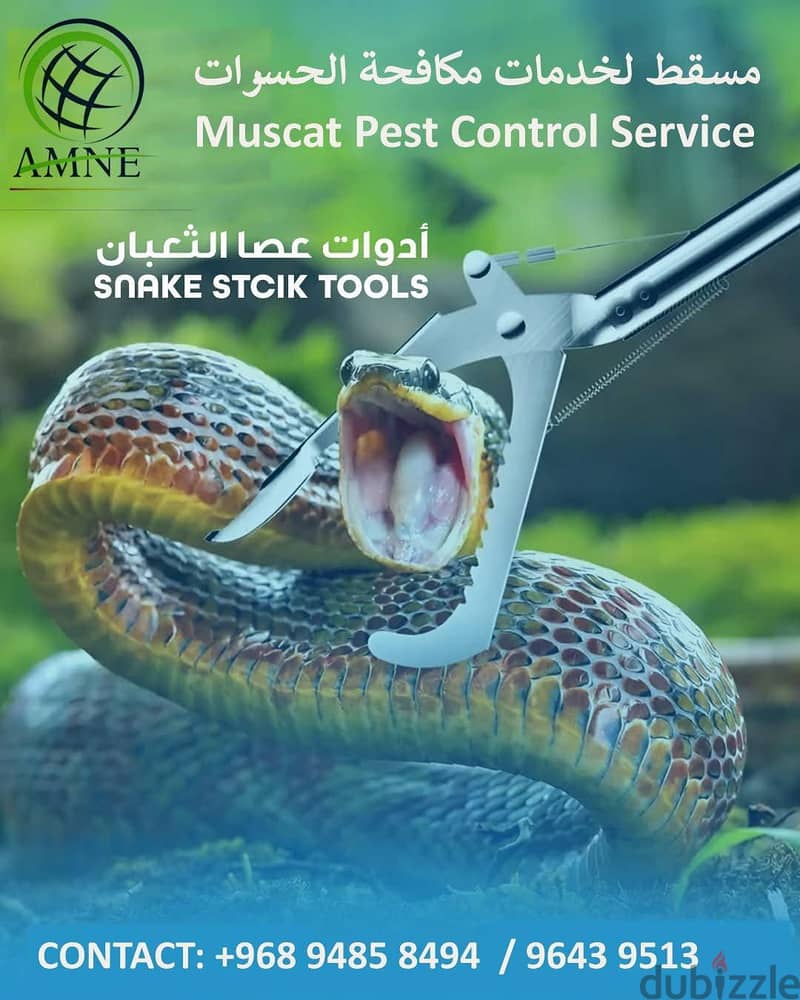 Professional & Guaranteed Pest Control Services in Muscat | Fast&Safe 5