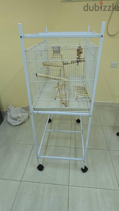 Birds cage