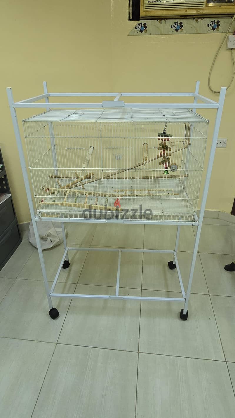 Birds cage 2