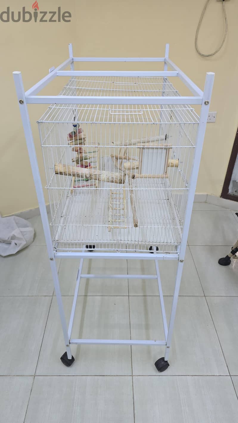 Birds cage 3