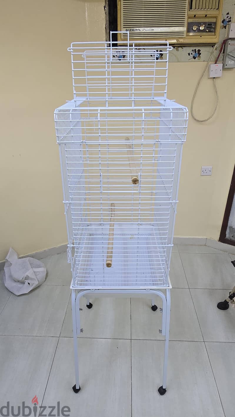 birds cage 4