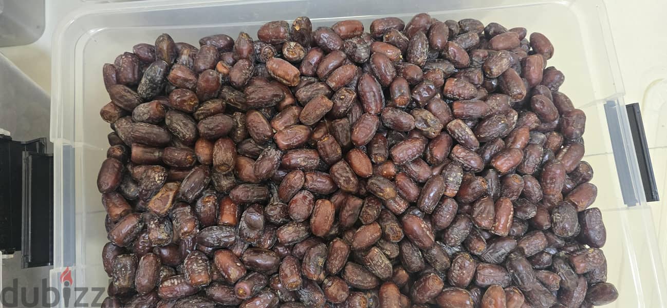 Premium Fresh Dates Direct from Our Family Garden. 7