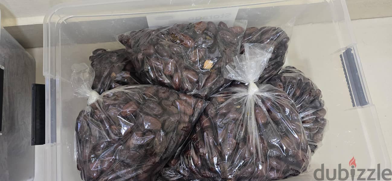 Premium Fresh Dates Direct from Our Family Garden. 8