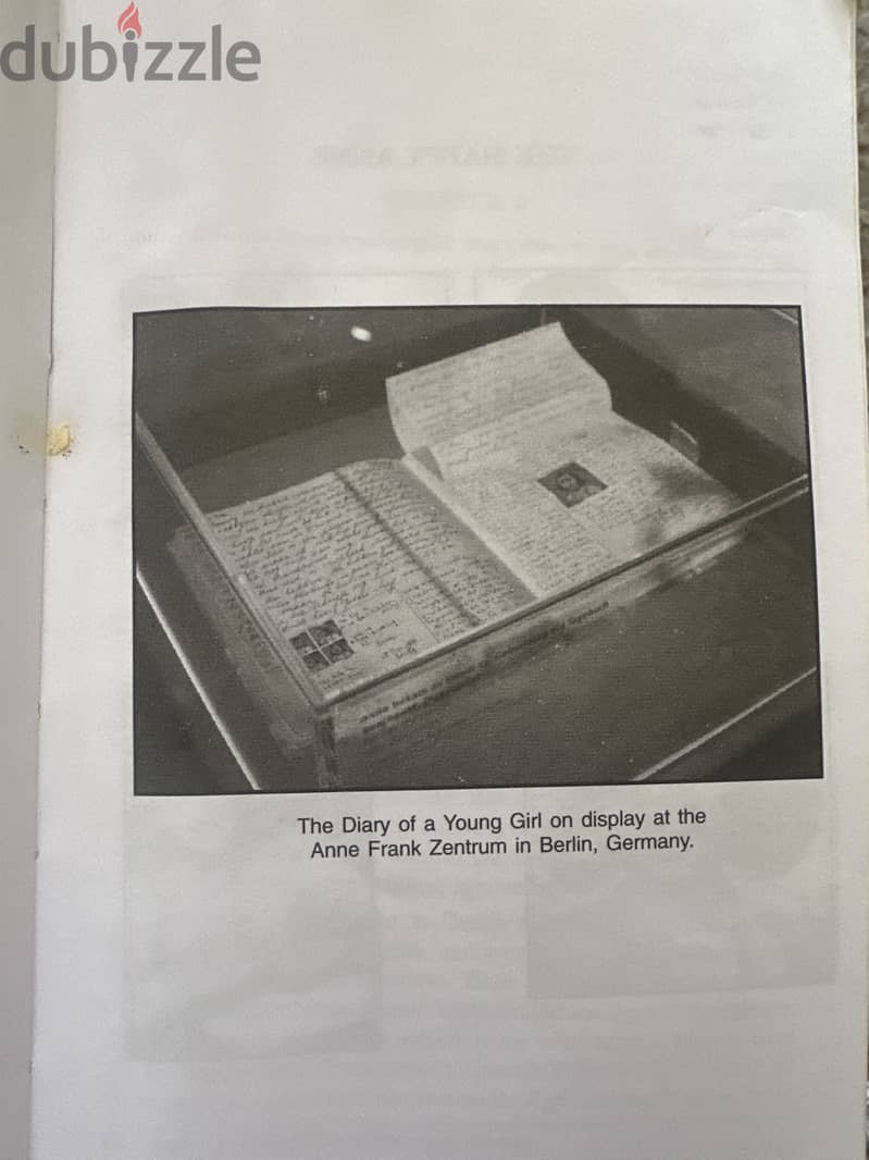 Anne Frank Diary 2