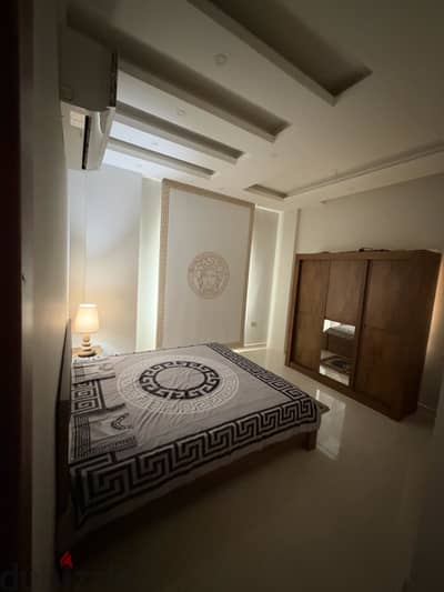Fully furnished luxury apartment in Bowsher