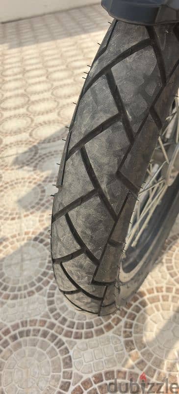 kawasaki versys 300 x 2024 Two Cylinder 10
