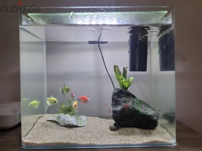 Aquarium