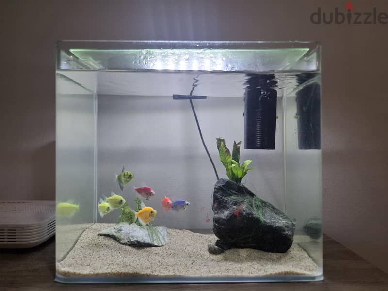 Aquarium 1