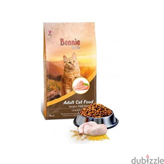 "Pet Cat Accessories" 8