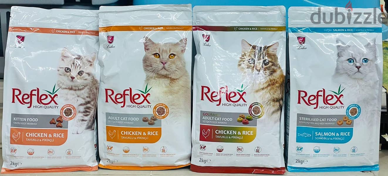 "Pet Cat Accessories" 9