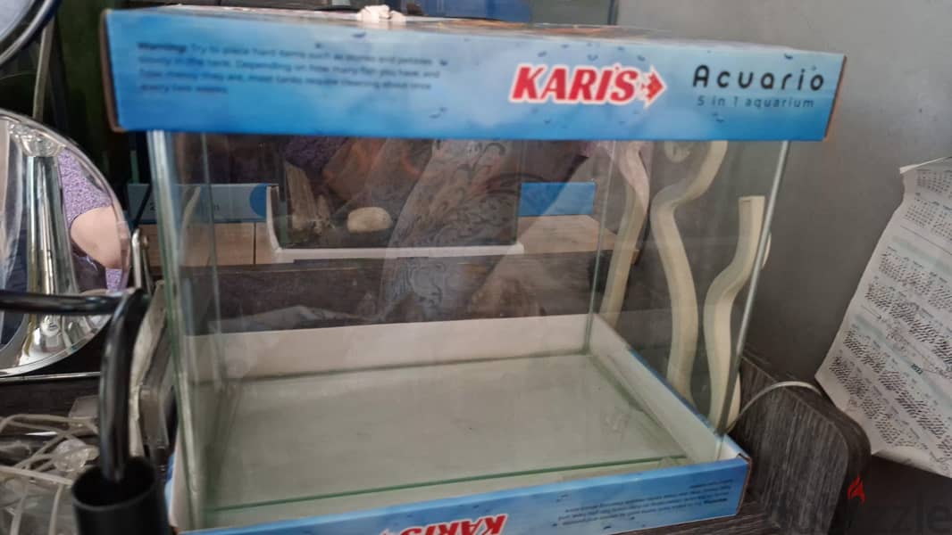 fish tank 1
