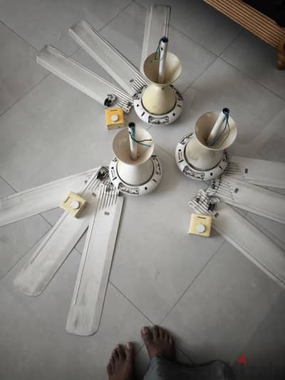 3 Panasonic Ceiling Fans (56-Inch / Model F-56MZ2) – Includes Regulators