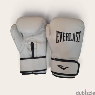 Everlast Boxing gloves for training