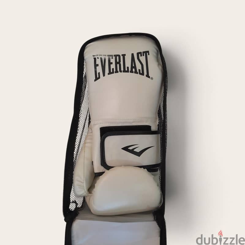 Everlast Boxing gloves for training 2